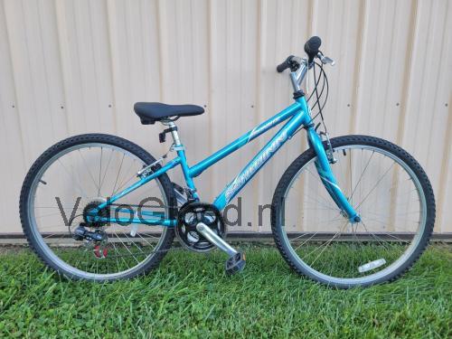 Schwinn Frontier specificaties